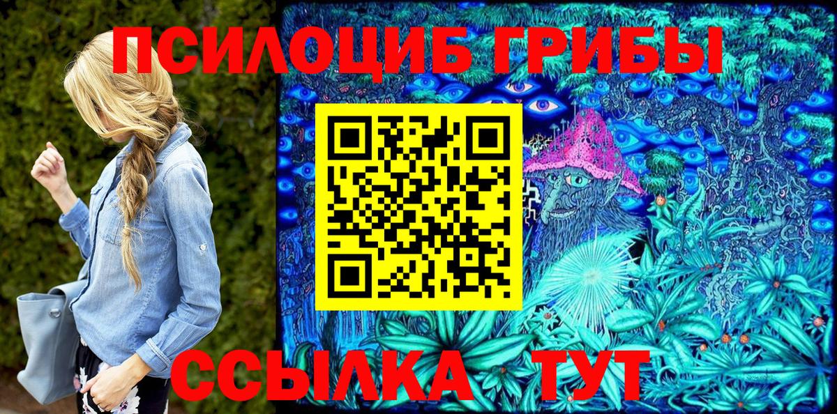 Видное  Галлюциногенные грибы Psilocybe  Вход с VPN 